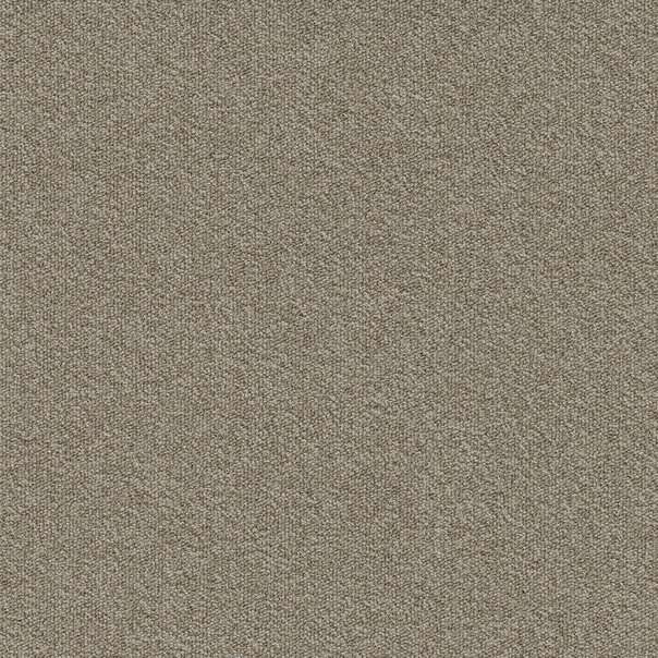 Millennium Nxtgen 061