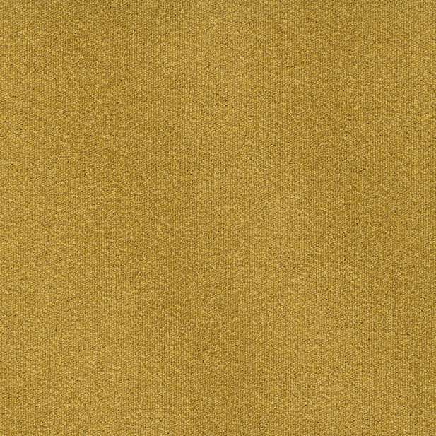 Millennium Nxtgen 200