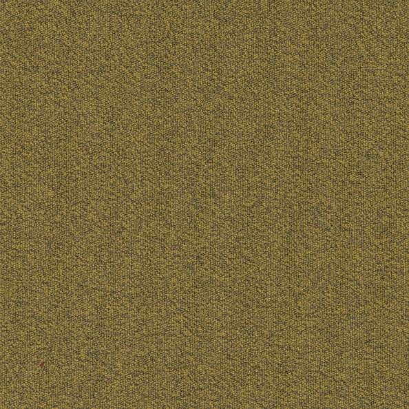 Millennium Nxtgen 210