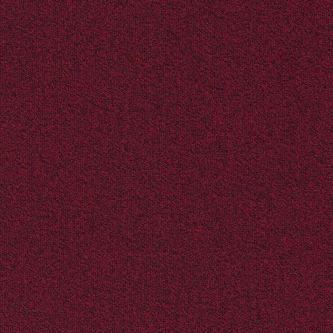 Millennium Nxtgen 310