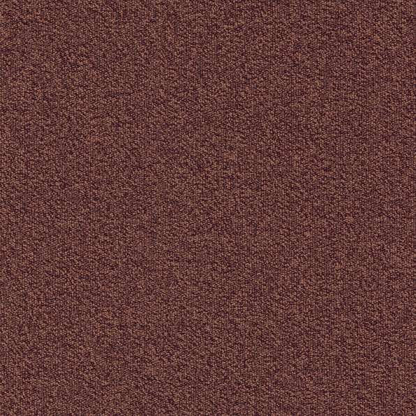 Millennium Nxtgen 323