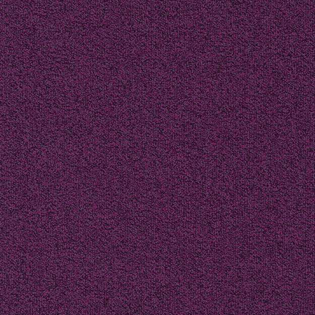 Millennium Nxtgen 411