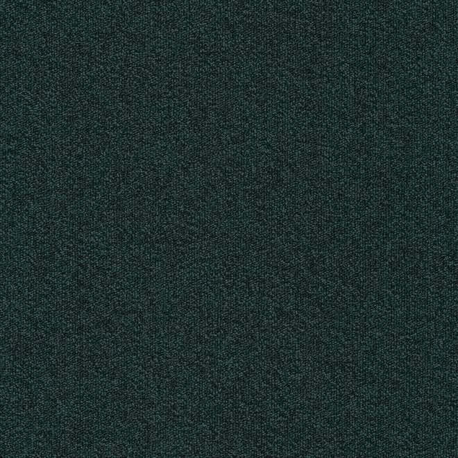 Millennium Nxtgen 573