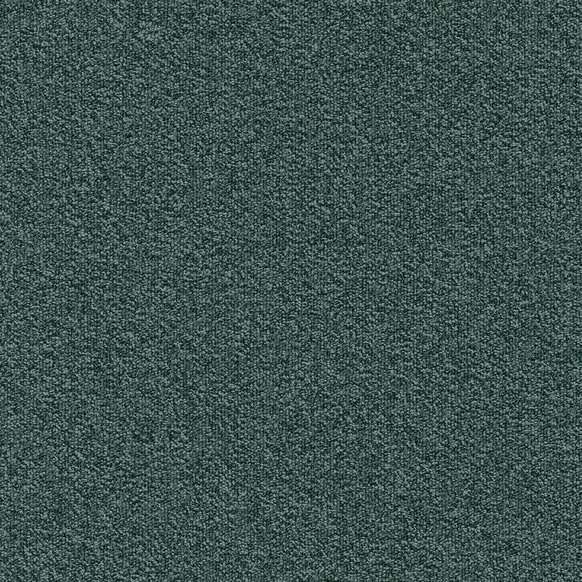 Millennium Nxtgen 579