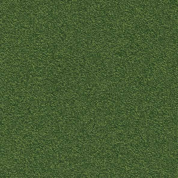 Millennium Nxtgen 669