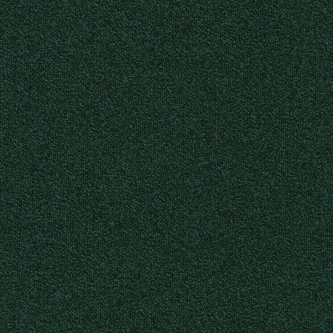 Millennium Nxtgen 684