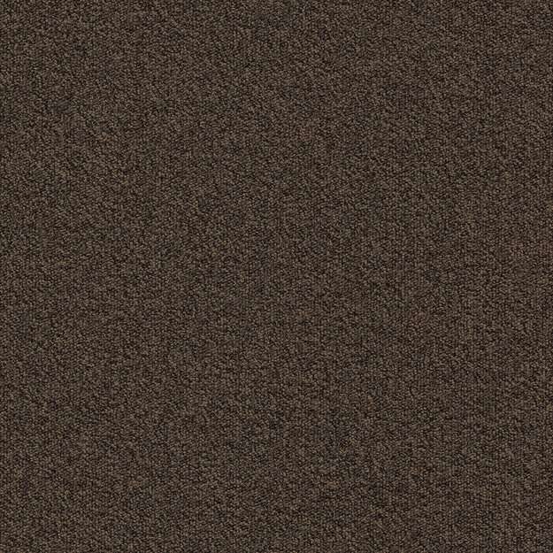 Millennium Nxtgen 883