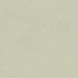 Sabbia Sandstone 531